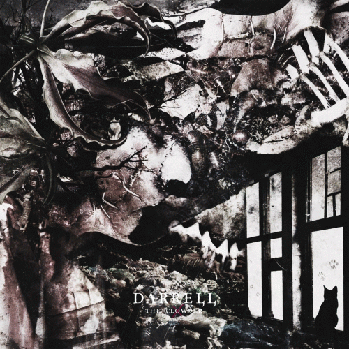 Darrell : The Clowder